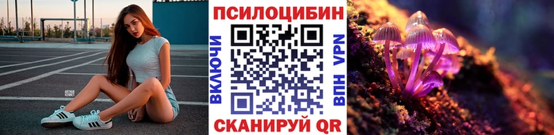 Псилоцибиновые грибы Psilocybine cubensis Ивангород